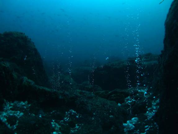 Fumarolas vulcânicas em mergulho em Isabel, em Galápagos (foto de Hnning Abheiden)